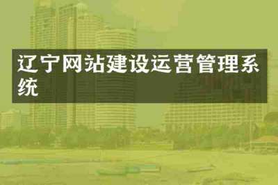 辽宁网站建设运营管理系统