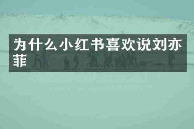 为什么小红书喜欢说刘亦菲