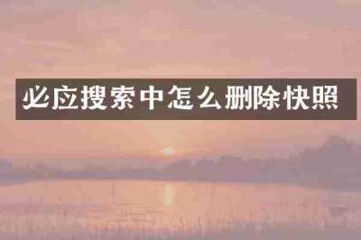 必应搜索中怎么删除快照