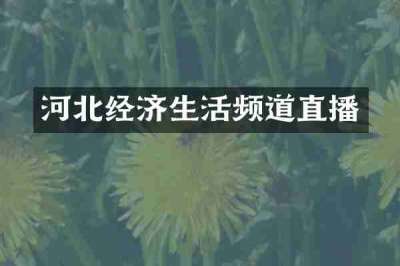 河北经济生活频道直播