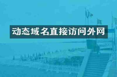 动态域名直接访问外网