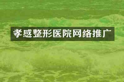 孝感整形医院网络推广