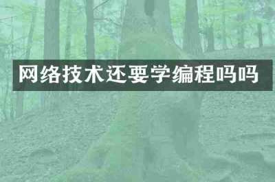 网络技术还要学编程吗吗