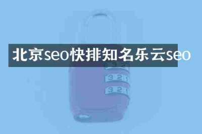 北京seo快排知名乐云seo