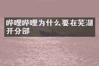 哔哩哔哩为什么要在芜湖开分部
