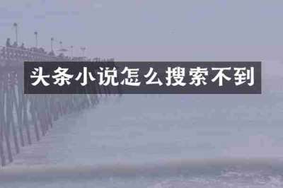 头条小说怎么搜索不到