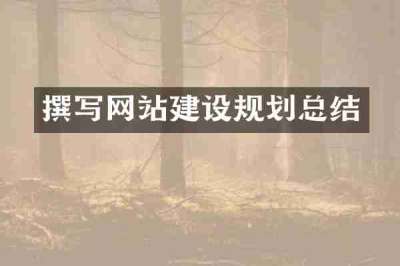撰写网站建设规划总结