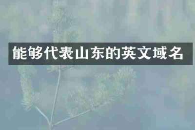 能够代表山东的英文域名