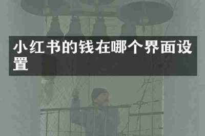 小红书的钱在哪个界面设置