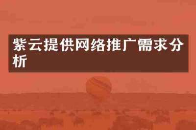 紫云提供网络推广需求分析