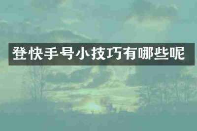 登快手号小技巧有哪些呢