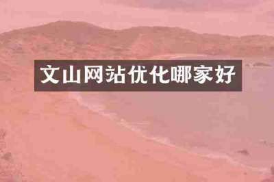 文山网站优化哪家好