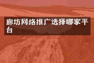 廊坊网络推广选择哪家平台