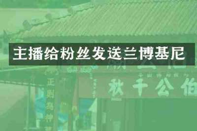 主播给粉丝发送兰博基尼