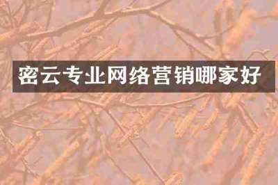 密云专业网络营销哪家好