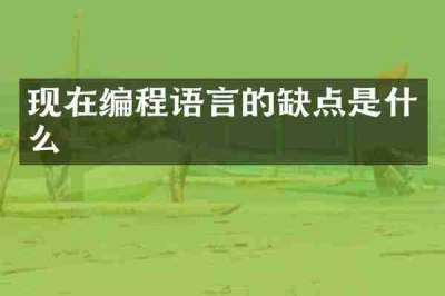 现在编程语言的缺点是什么