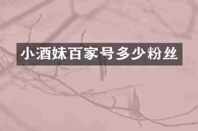 小酒妹百家号多少粉丝