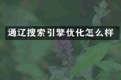 通辽搜索引擎优化怎么样