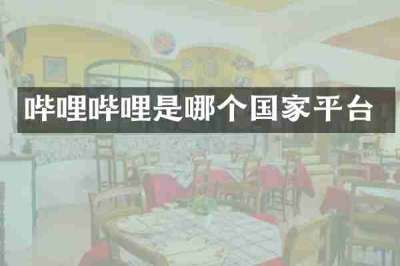 哔哩哔哩是哪个国家平台