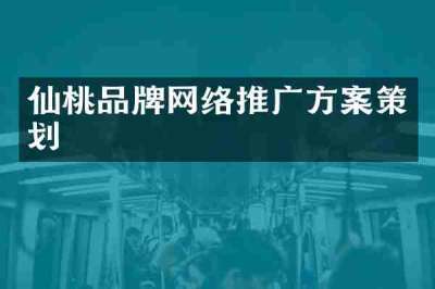 仙桃品牌网络推广方案策划