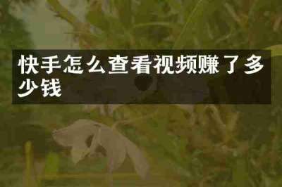 快手怎么查看视频赚了多少钱