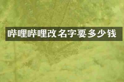 哔哩哔哩改名字要多少钱