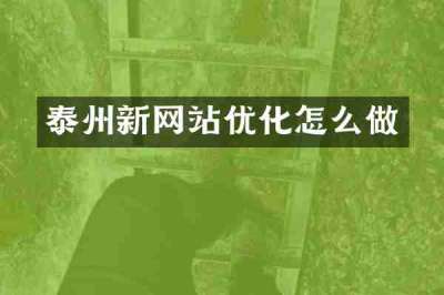 泰州新网站优化怎么做