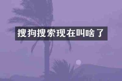 搜狗搜索现在叫啥了