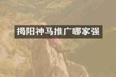 揭阳神马推广哪家强