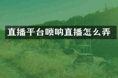直播平台唢呐直播怎么弄