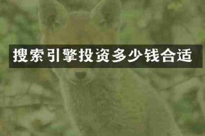 搜索引擎投资多少钱合适