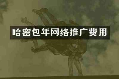 哈密包年网络推广费用
