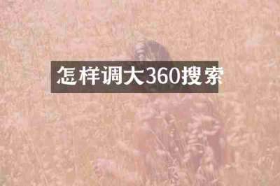怎样调大360搜索