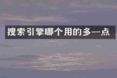 搜索引擎哪个用的多一点