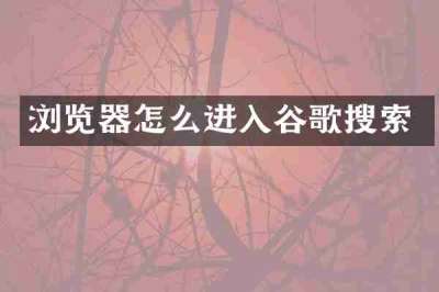 浏览器怎么进入谷歌搜索