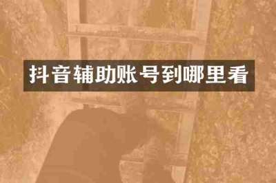 抖音辅助账号到哪里看