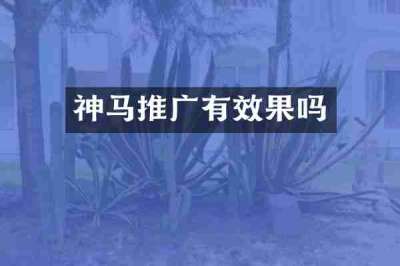 神马推广有效果吗