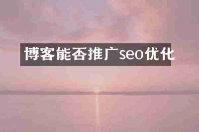博客能否推广seo优化