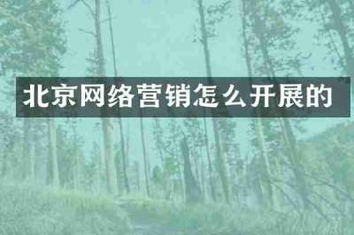 北京网络营销怎么开展的