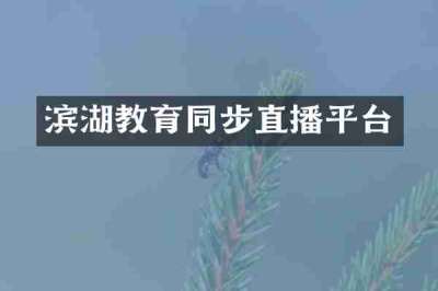 滨湖教育同步直播平台