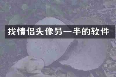 找情侣头像另一半的软件