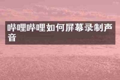 哔哩哔哩如何屏幕录制声音
