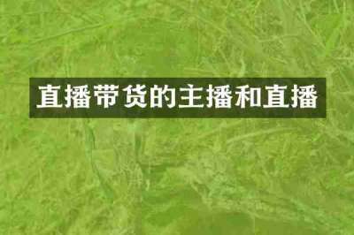 直播带货的主播和直播