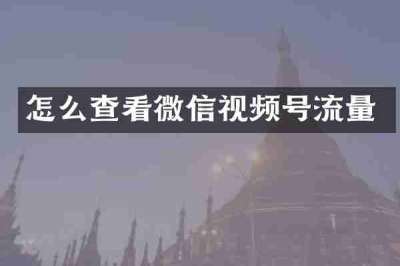 怎么查看微信视频号流量