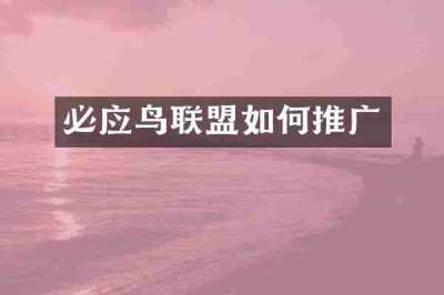 必应鸟联盟如何推广