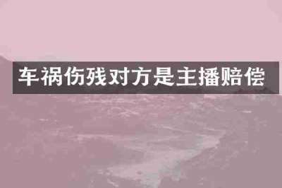 车祸伤残对方是主播赔偿