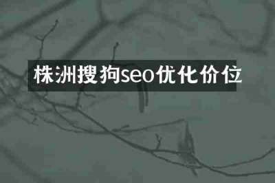 株洲搜狗seo优化价位
