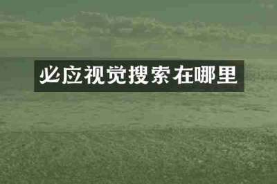 必应视觉搜索在哪里