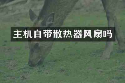 主机自带散热器风扇吗