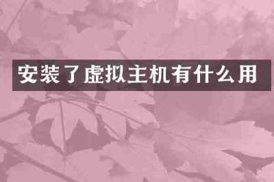 安装了虚拟主机有什么用